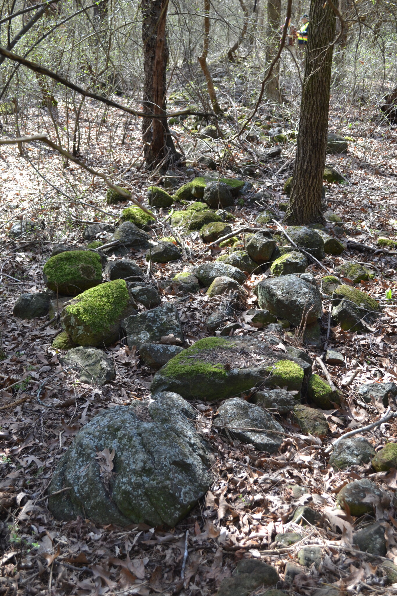 Holding pens for cattle and other livestock were found at the top of the hill near the old Hutchison barns. Drovers would have used these enclosures to manage their livestock: horses, cattle, hogs, sheep, etc.